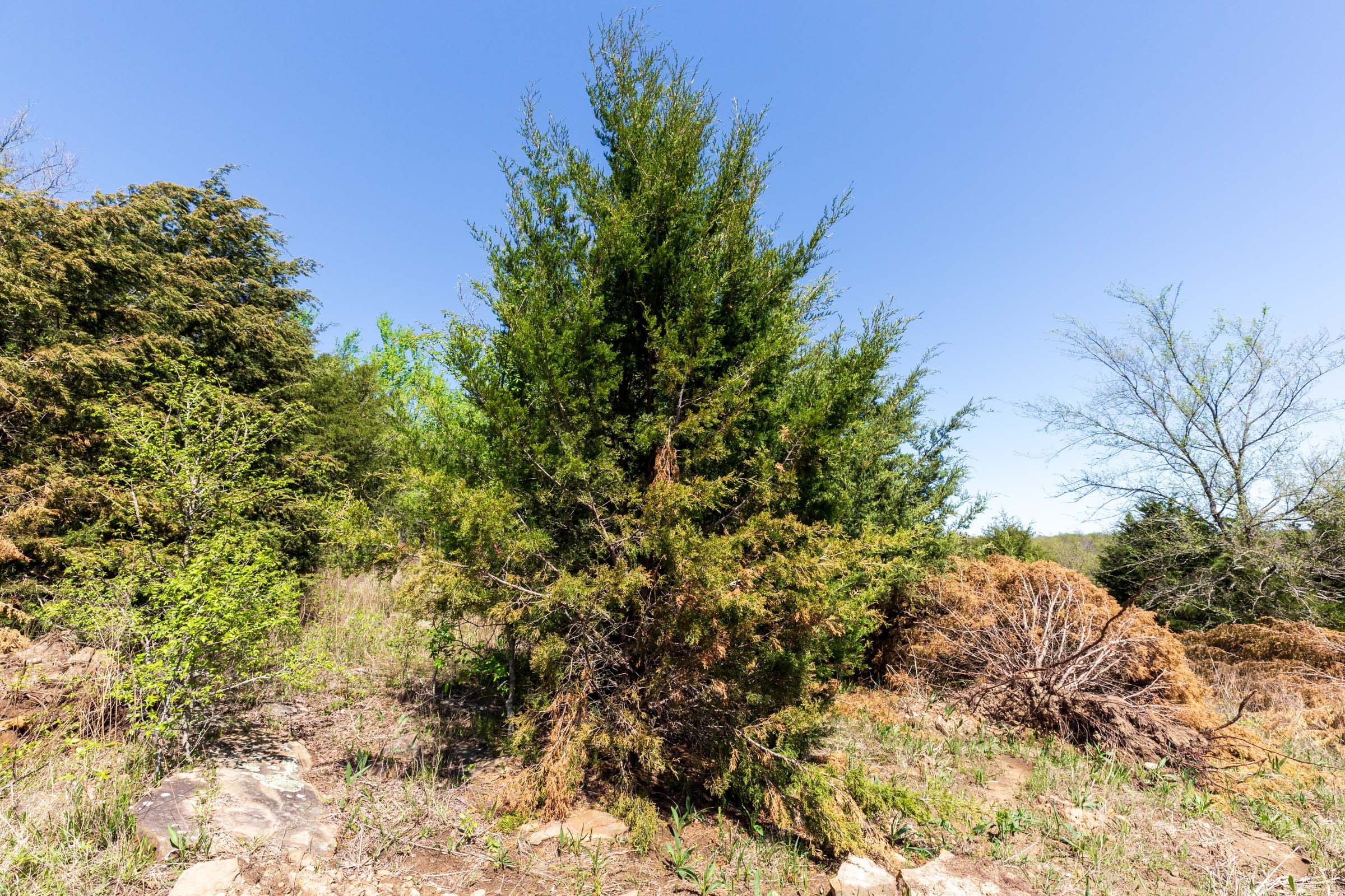 Prairie Grove Tract 15 photo 5
