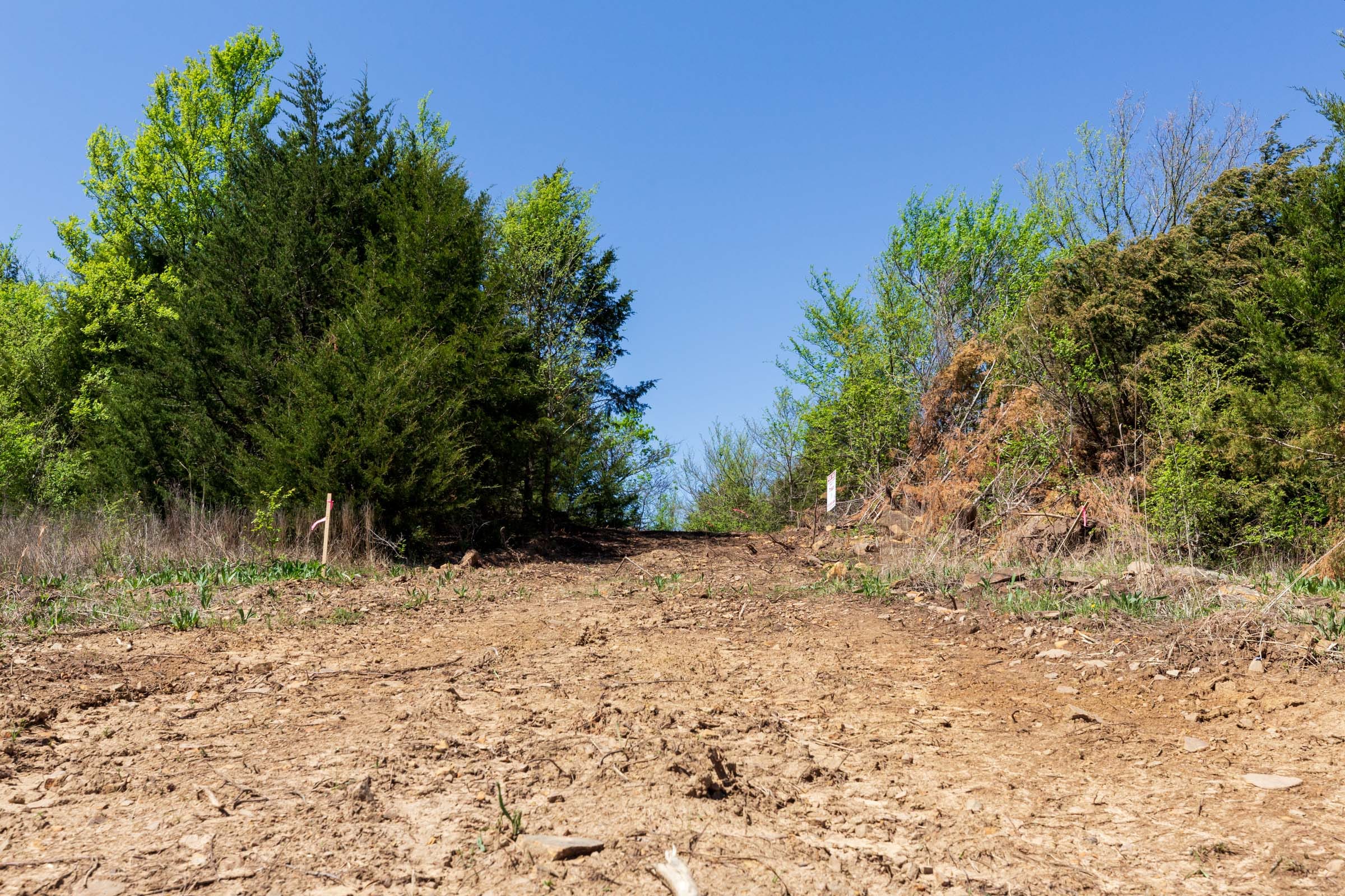Prairie Grove Tract 15 photo 9