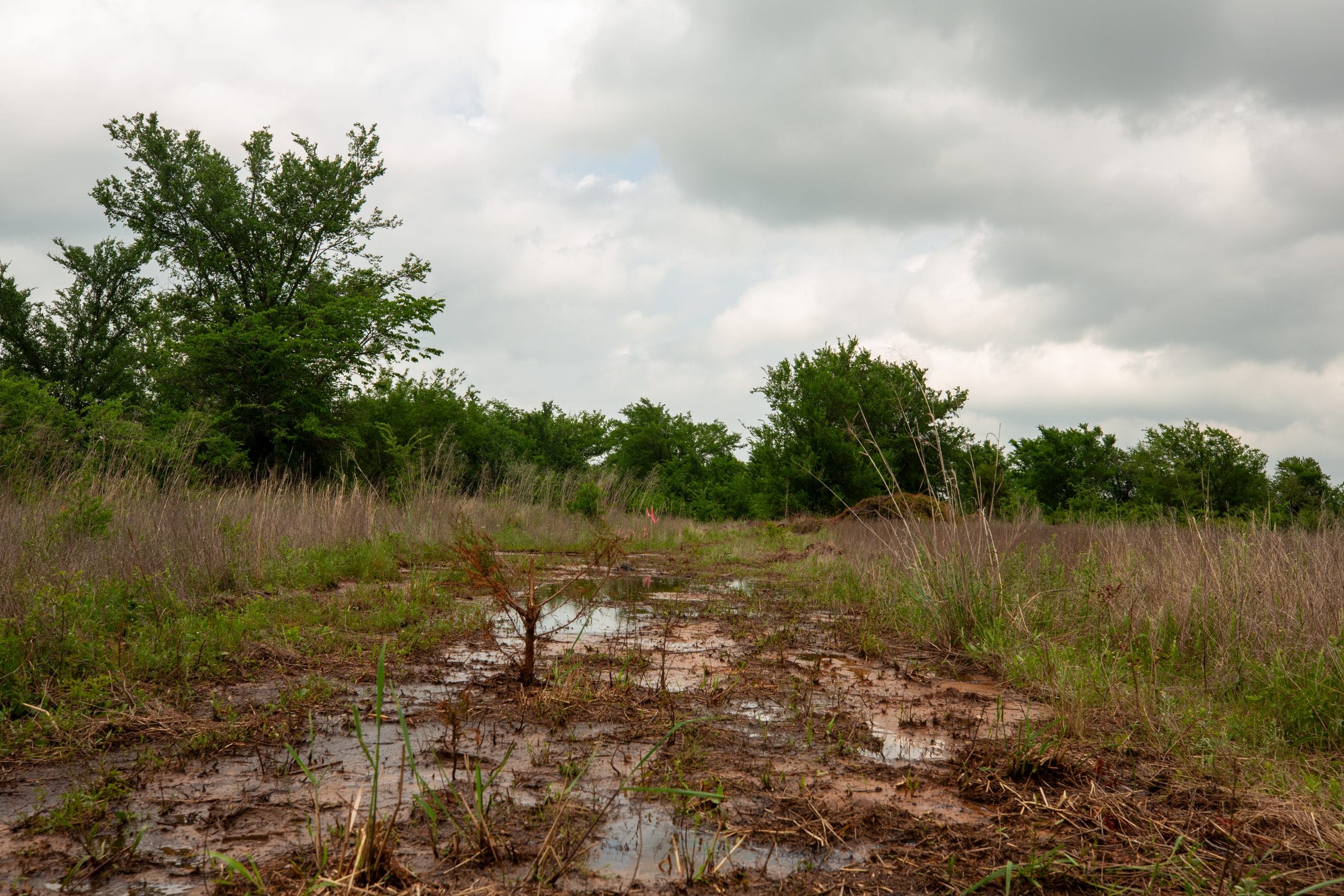 Prairie Grove Tract 15 photo 17