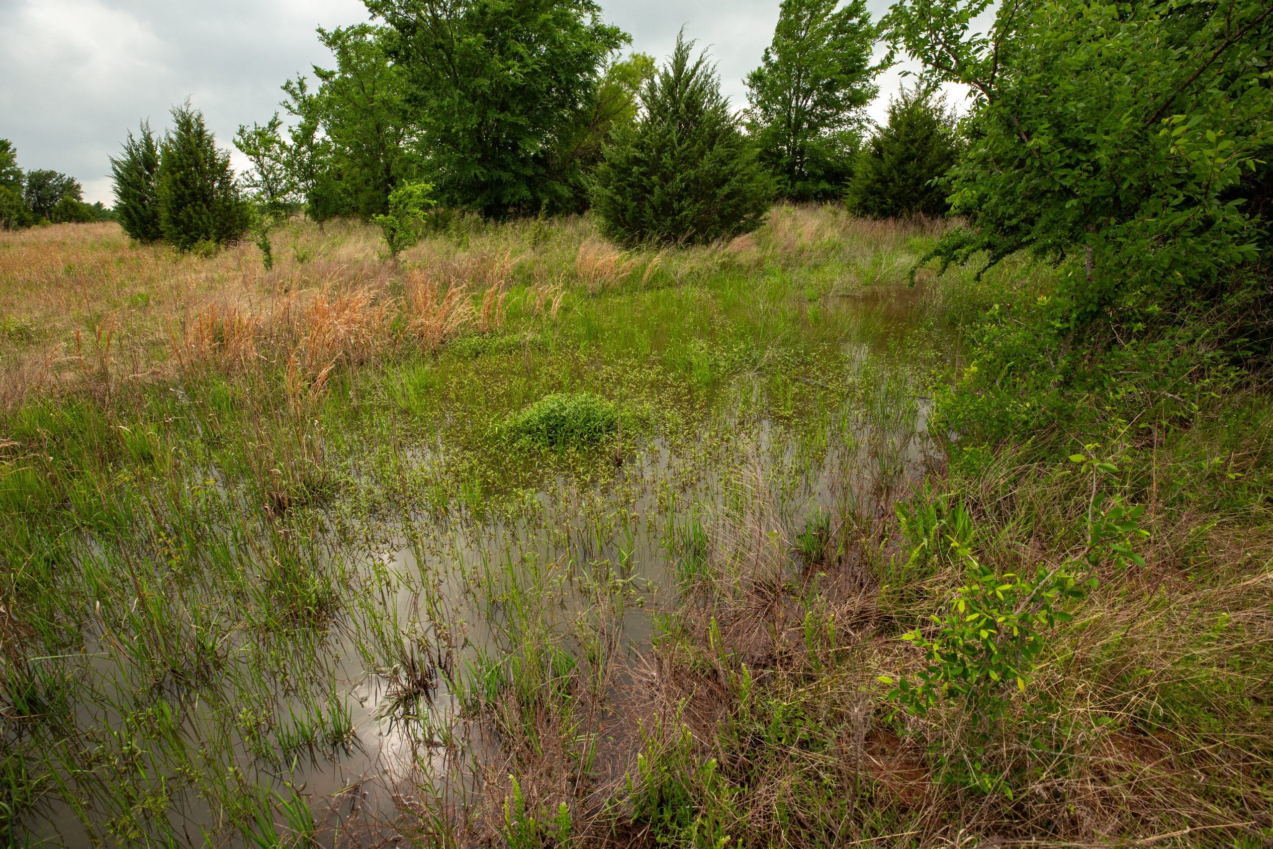 Prairie Grove Tract 15 photo 3