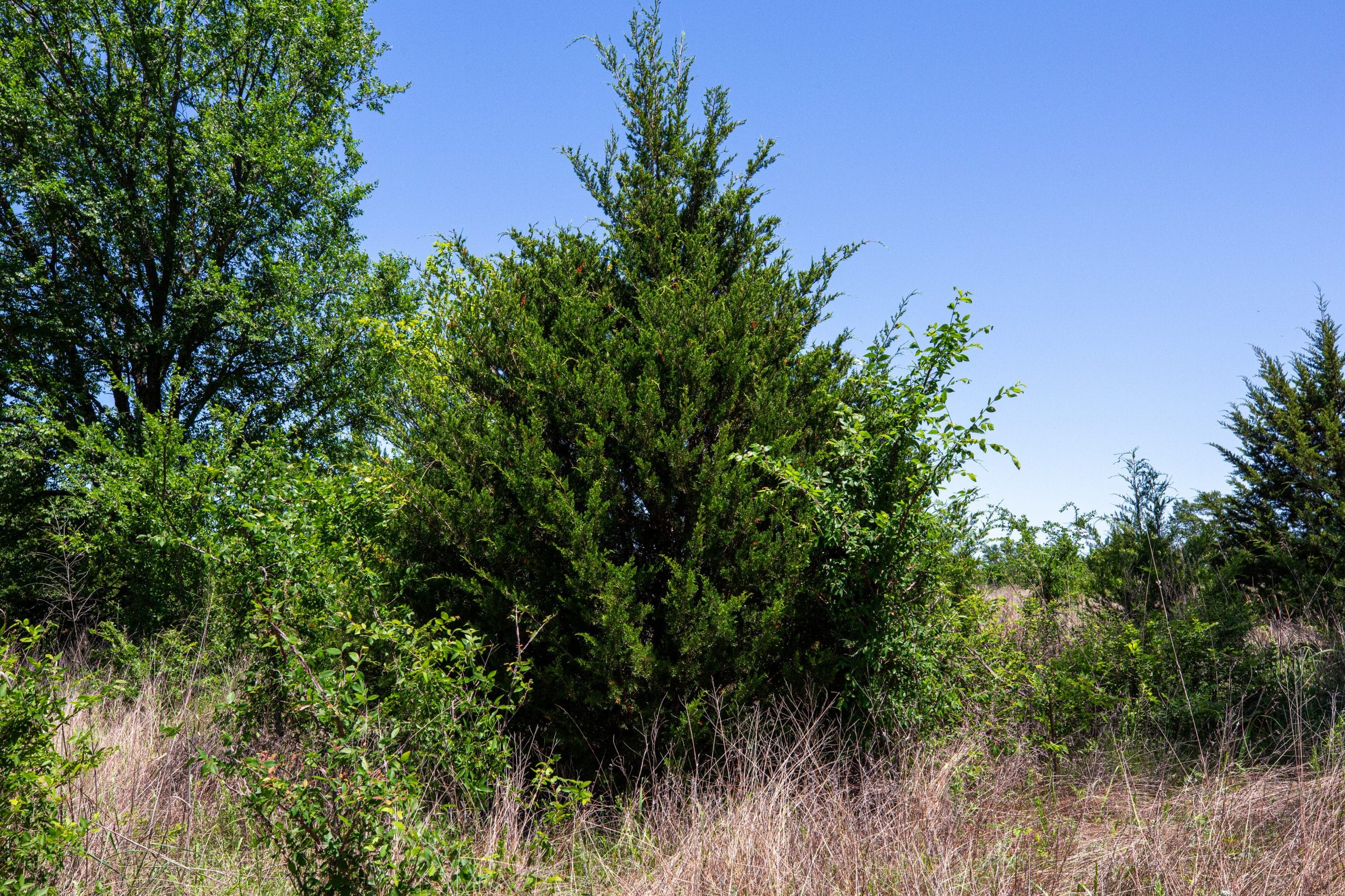 Prairie Grove Tract 15 photo 13