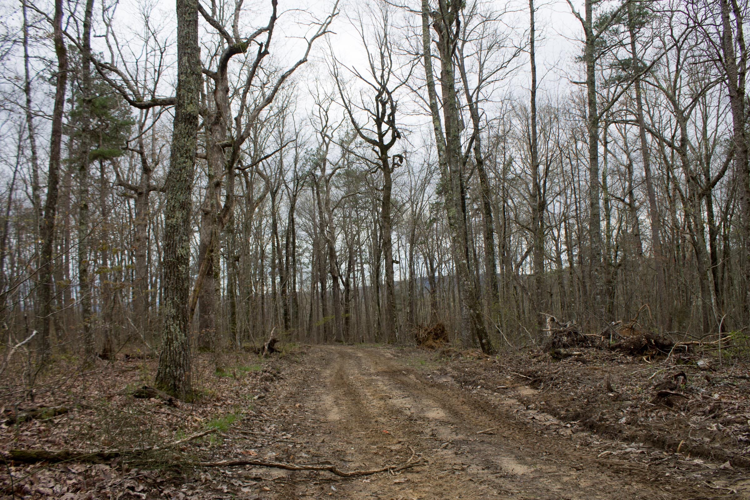 Hidden Hills Tract 4 photo 1