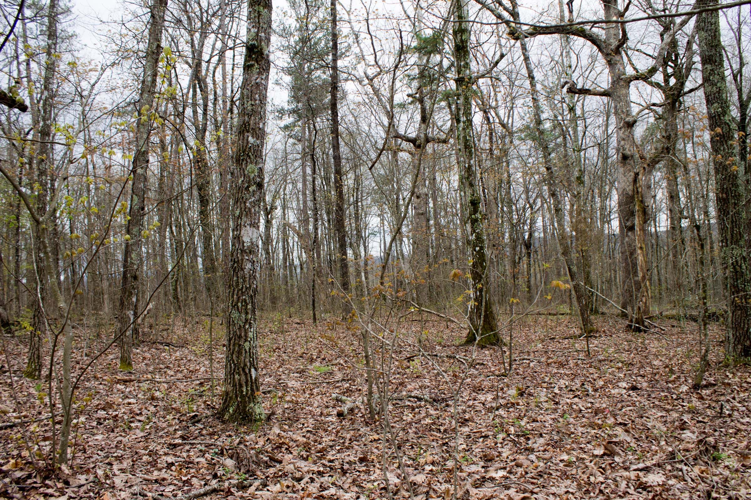 Hidden Hills Tract 4 photo 4
