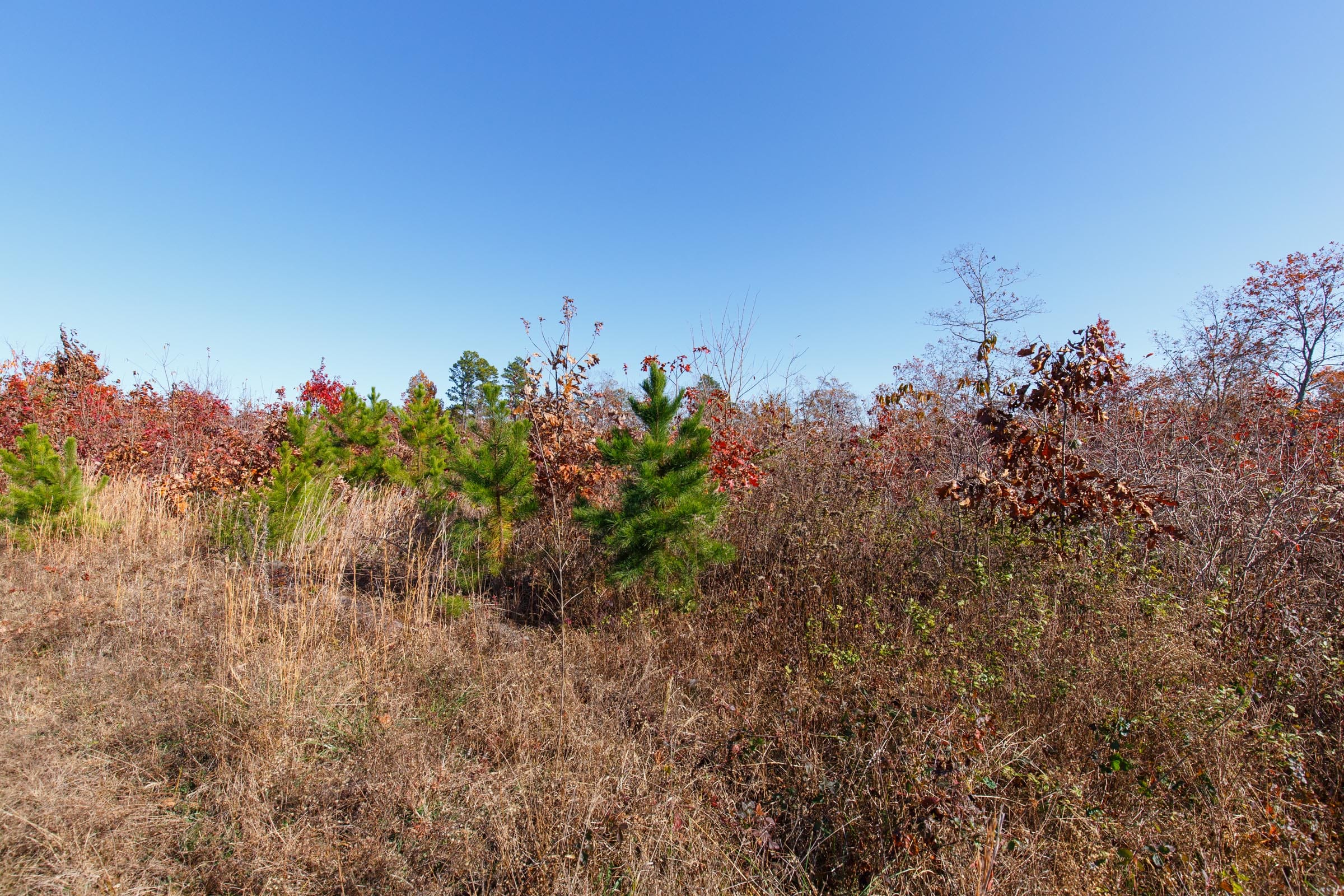 Hawkcrest Tract 34 photo 3