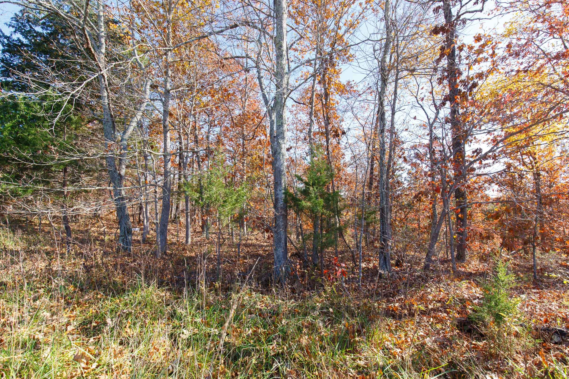 Hawkcrest Tract 34 photo 11