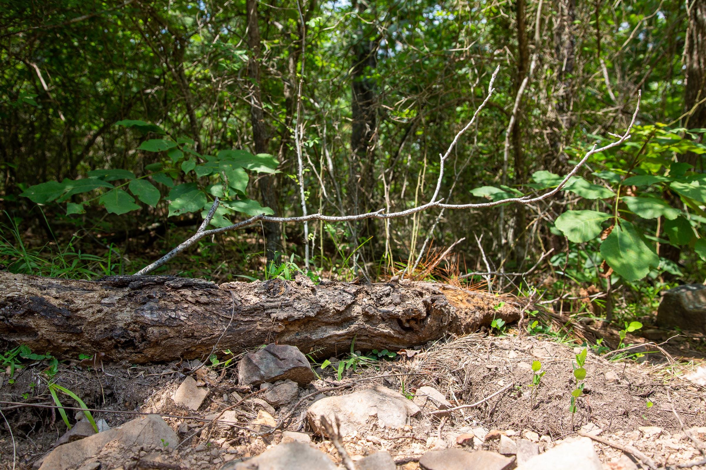 Tyler Stone Ranch Tract 66 photo 5