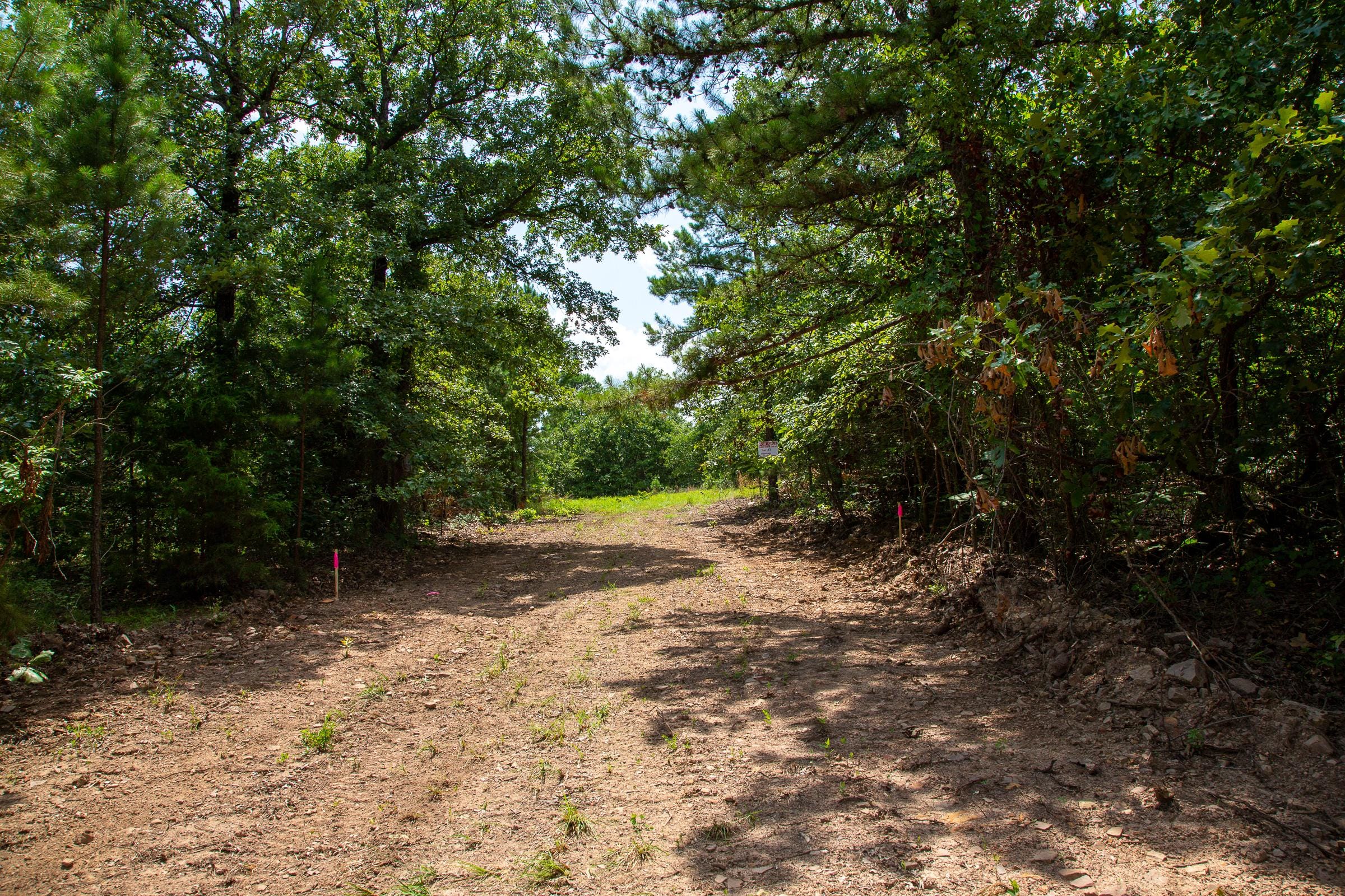 Tyler Stone Ranch Tract 66 photo 7