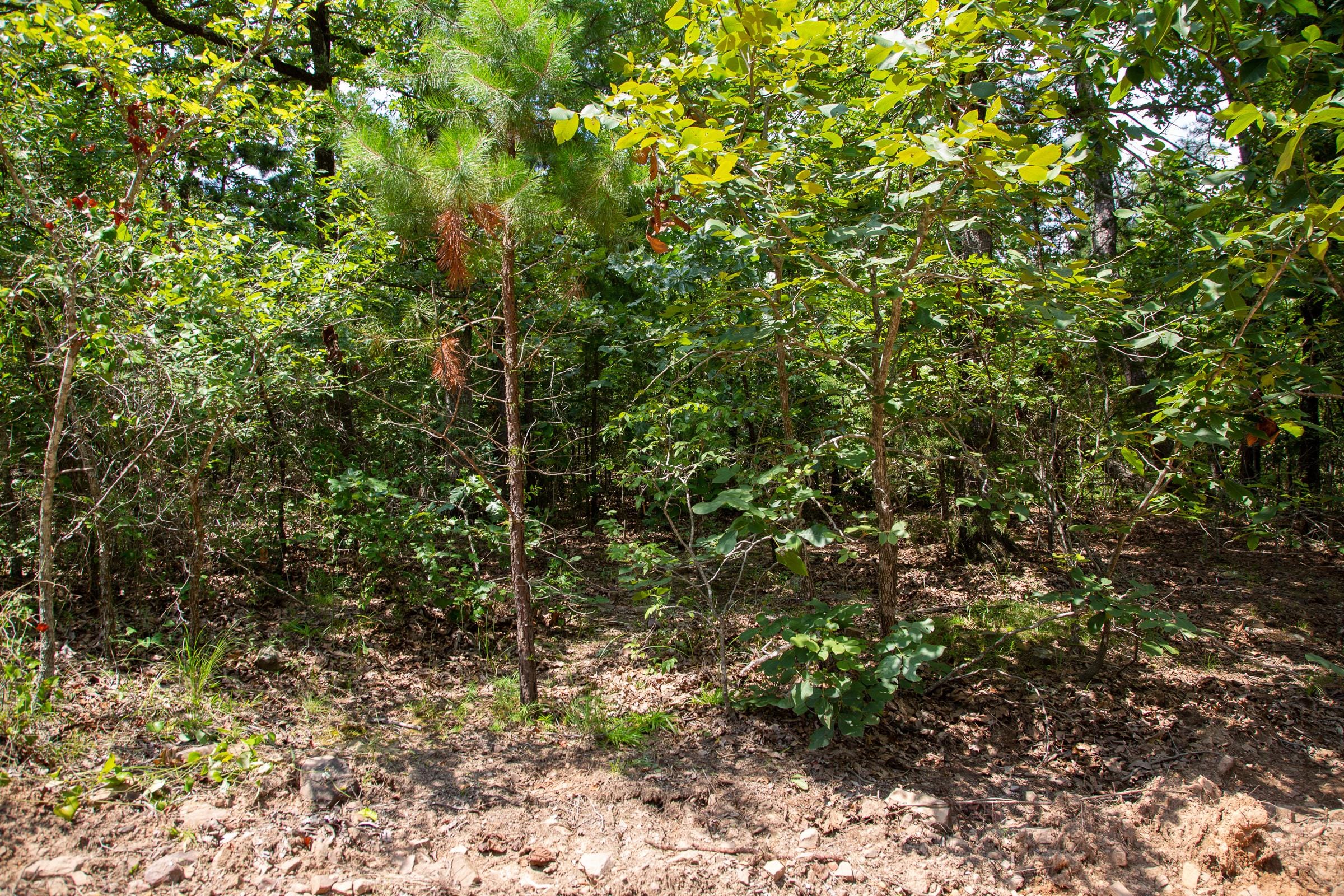 Tyler Stone Ranch Tract 66 photo 4