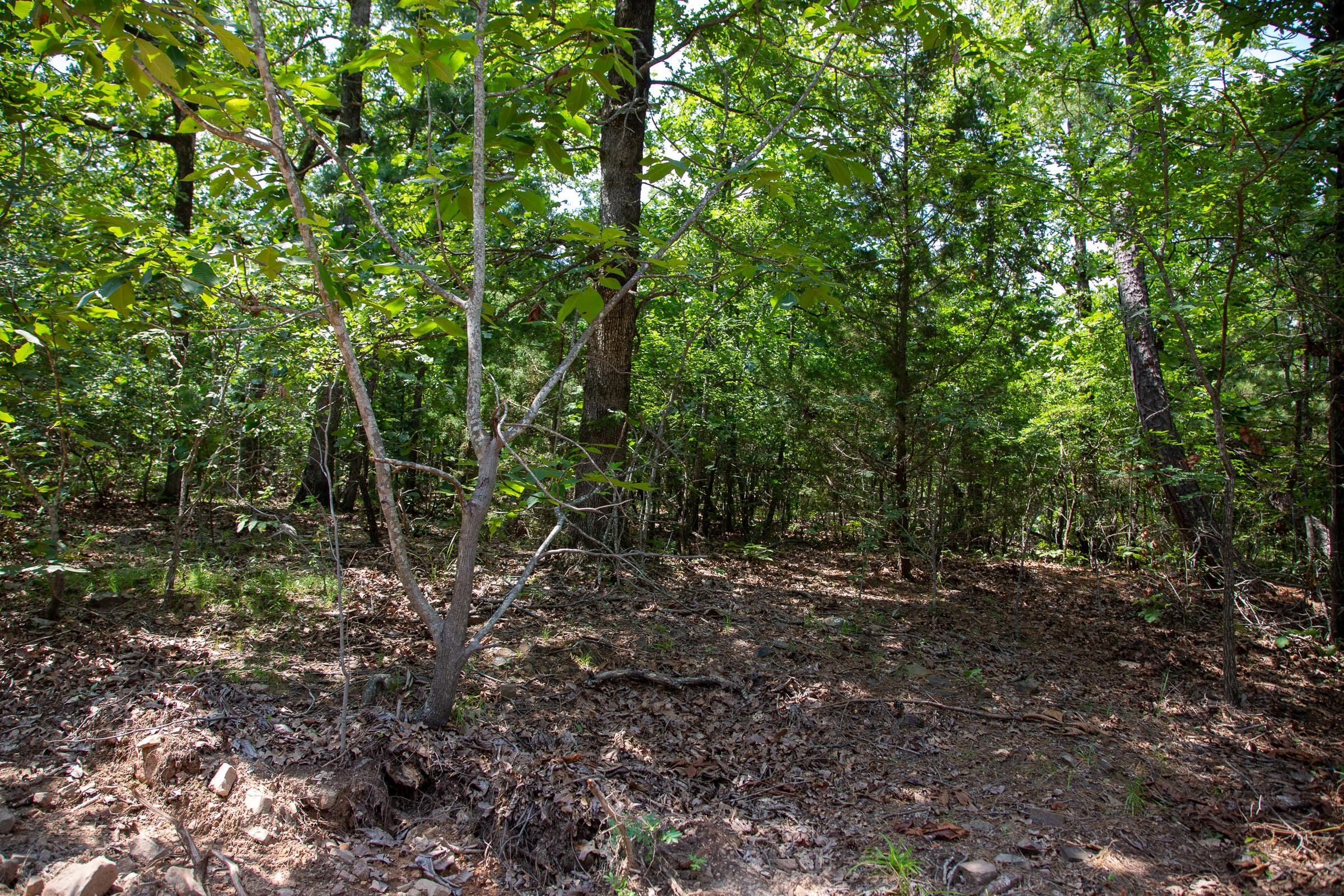 Tyler Stone Ranch Tract 66 photo 6