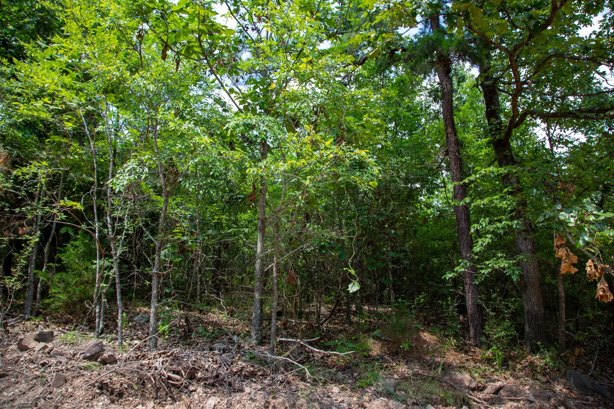 Tyler Stone Ranch Tract 66 photo 1