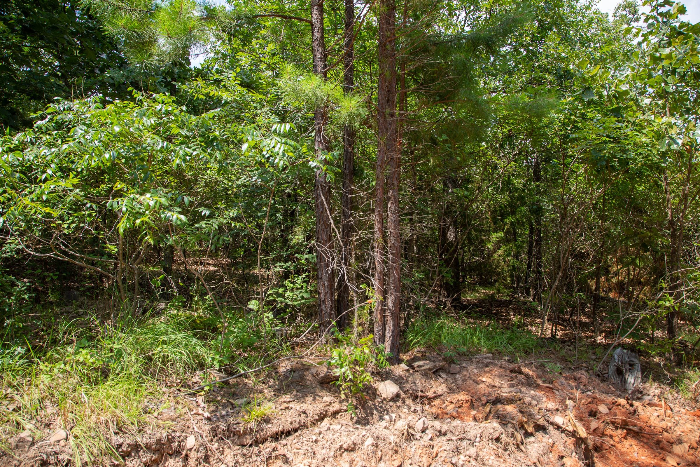 Tyler Stone Ranch Tract 66 photo 10