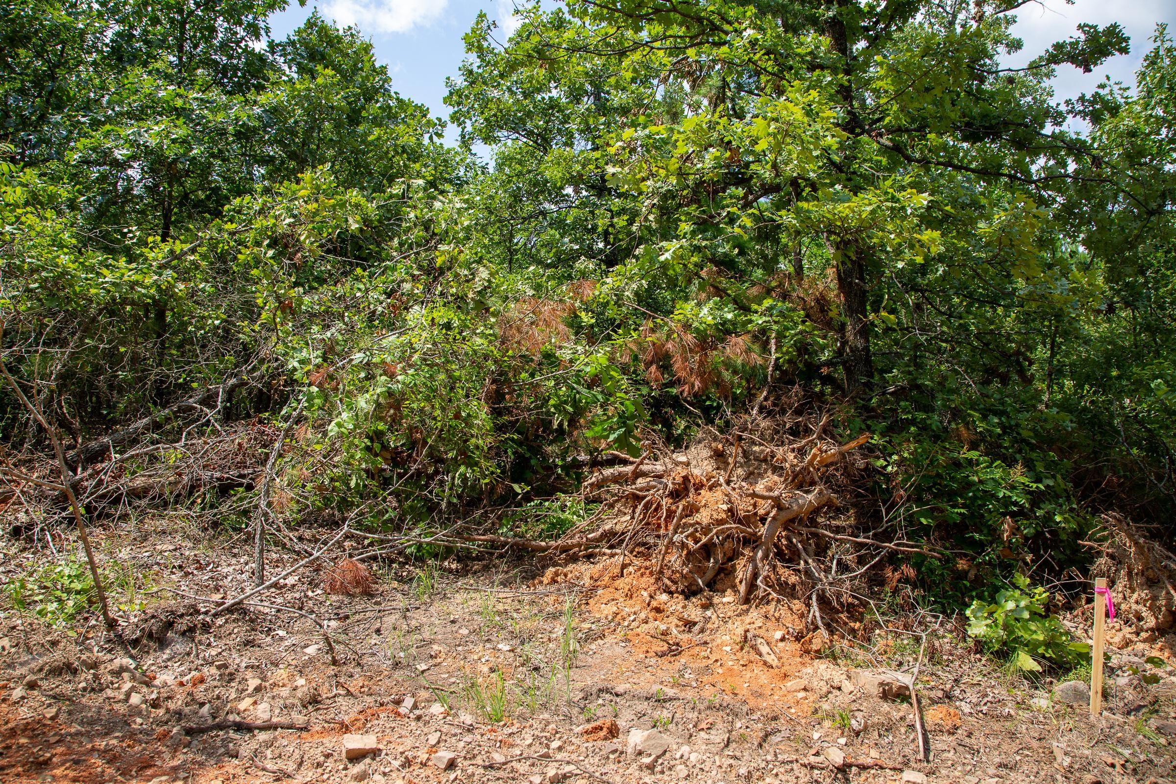 Tyler Stone Ranch Tract 66 photo 8