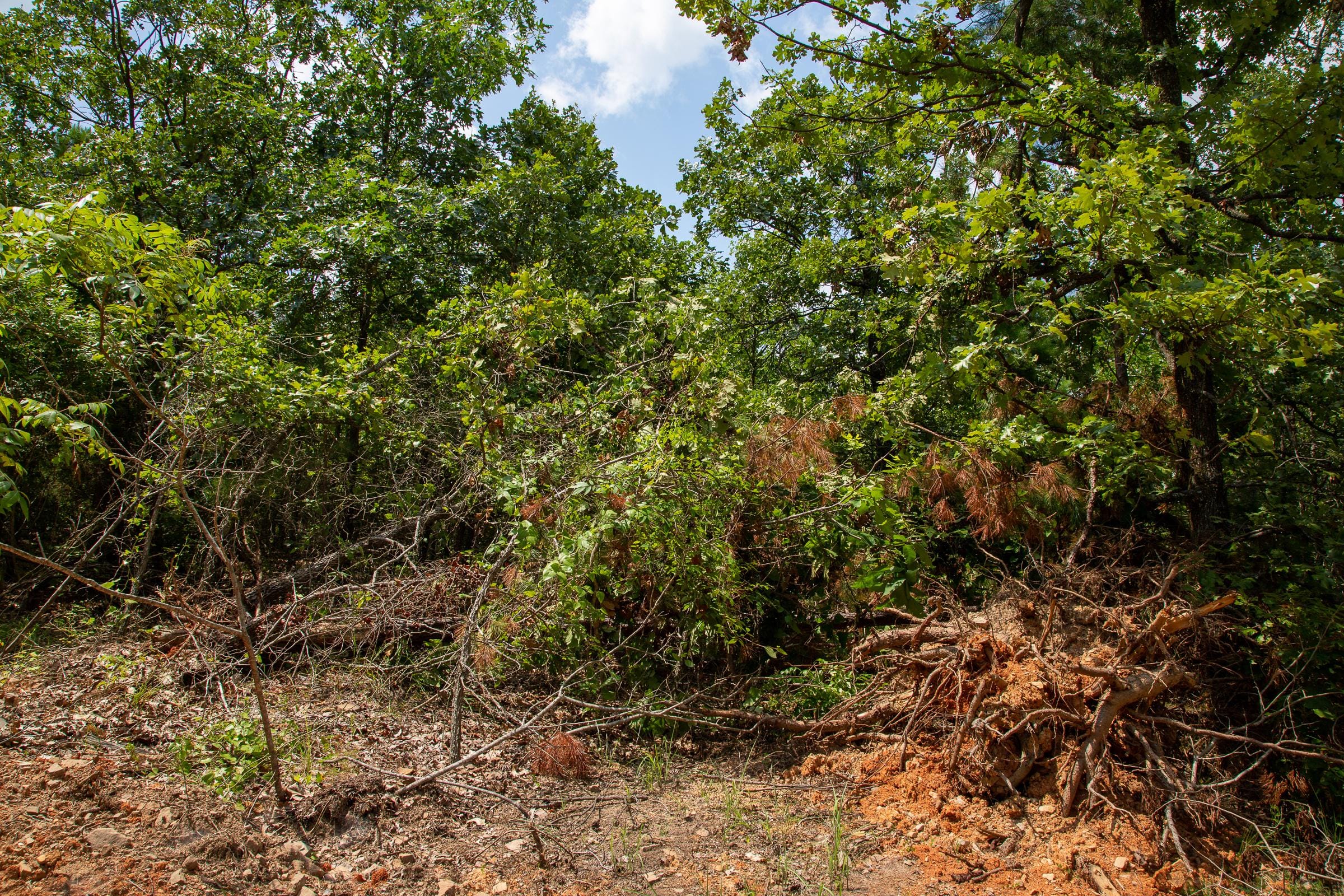 Tyler Stone Ranch Tract 66 photo 11