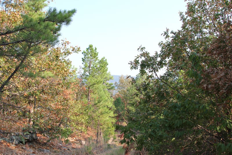 Trophy Ridge Phase I Tract 44 photo 3