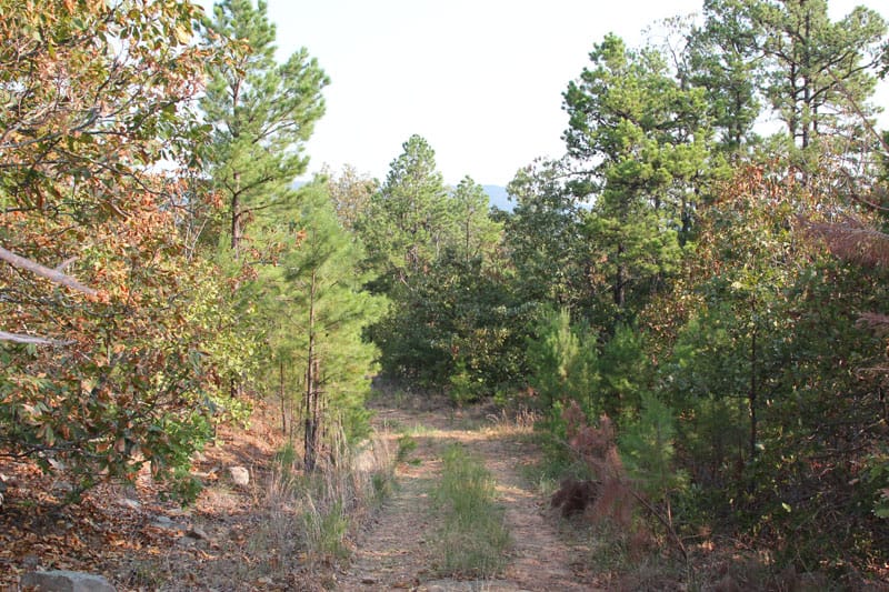Trophy Ridge Phase I Tract 44 photo 1