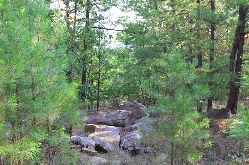 Trophy Ridge Phase I Tract 44 photo 5