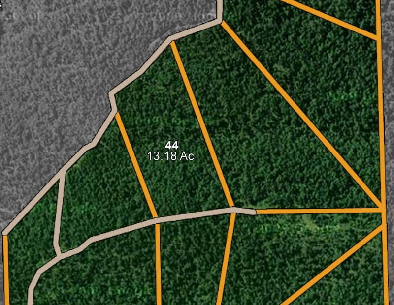 Trophy Ridge Phase I Tract 44 photo 8