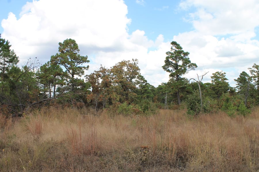 Indian Ridge – Phase III Tract 92 photo 3