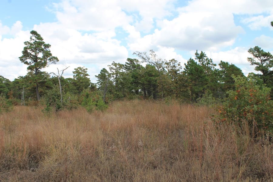 Indian Ridge – Phase III Tract 92 photo 4