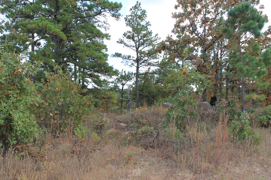Indian Ridge – Phase III Tract 92 photo 5