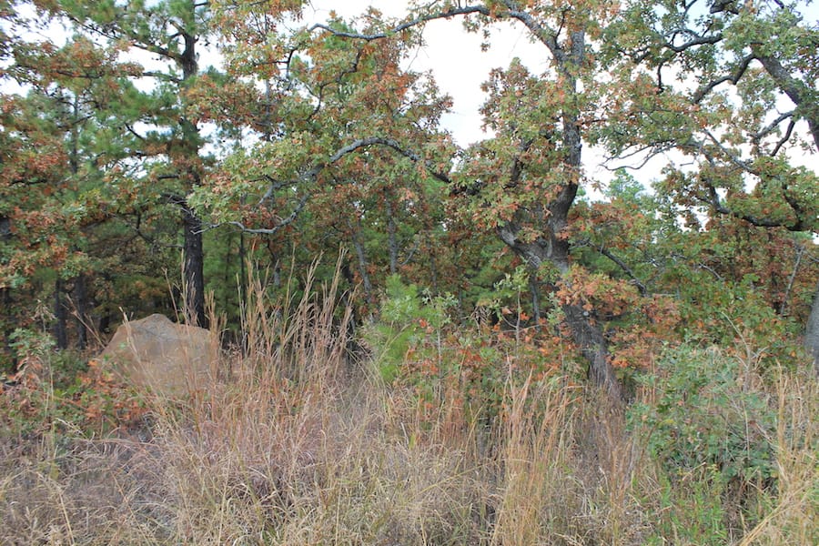 Indian Ridge – Phase III Tract 92 photo 6