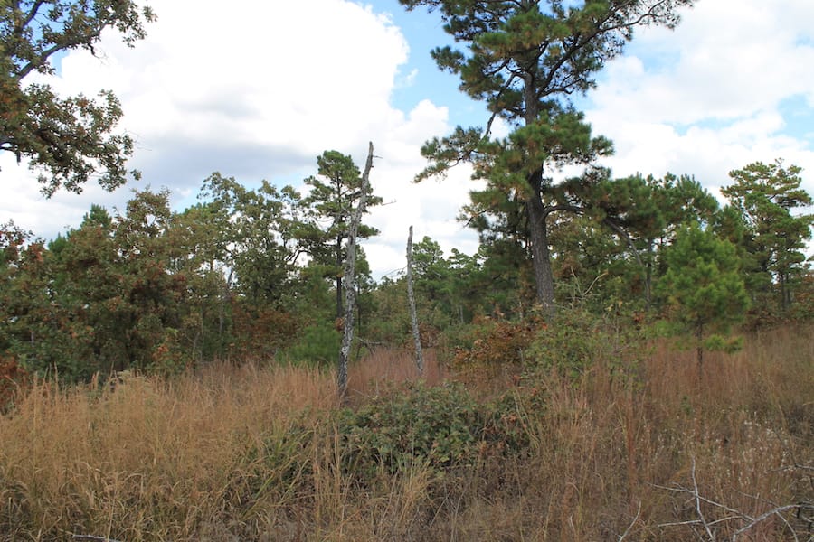 Indian Ridge – Phase III Tract 92 photo 7