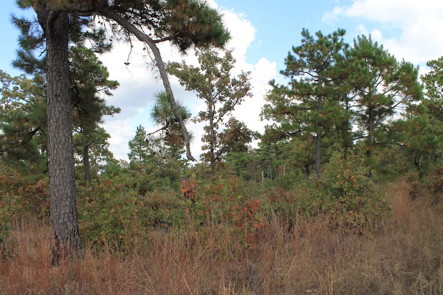Indian Ridge – Phase III Tract 92 photo 8