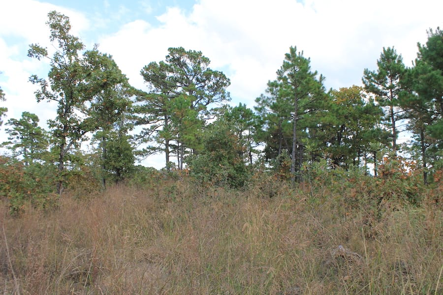Indian Ridge – Phase III Tract 92 photo 9