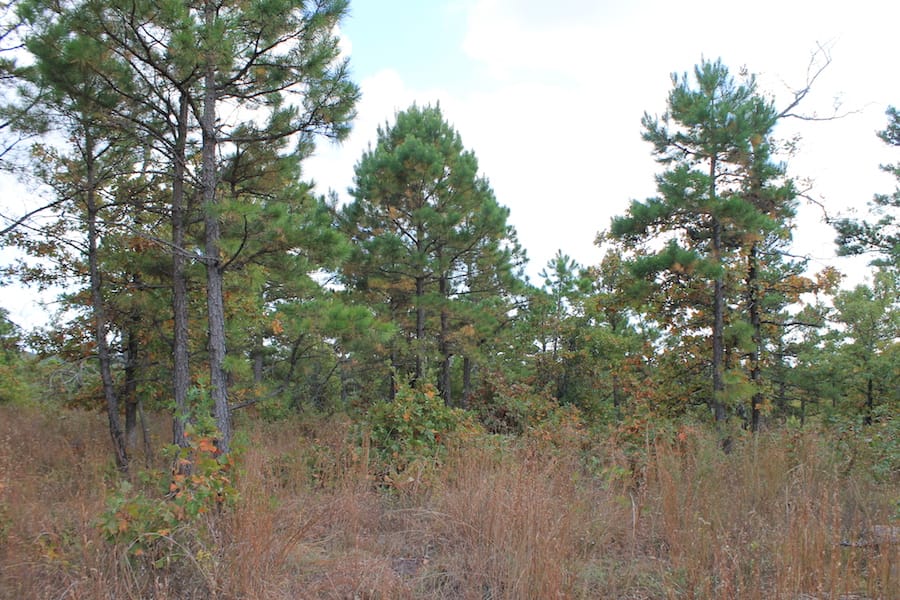 Indian Ridge – Phase III Tract 92 photo 10