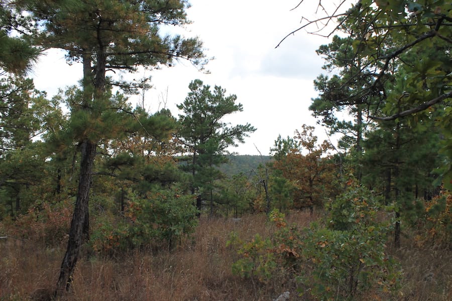 Indian Ridge – Phase III Tract 92 photo 11