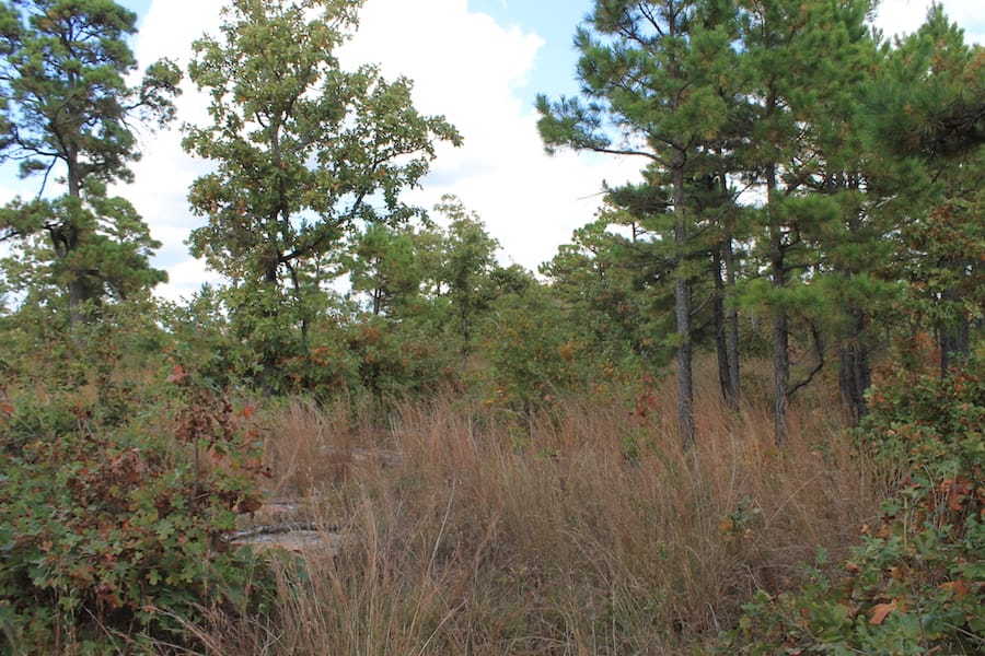 Indian Ridge – Phase III Tract 92 photo 12