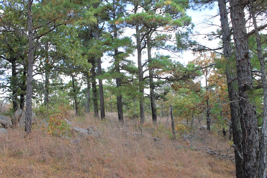 Indian Ridge – Phase III Tract 92 photo 13