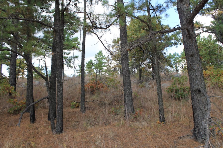 Indian Ridge – Phase III Tract 92 photo 14