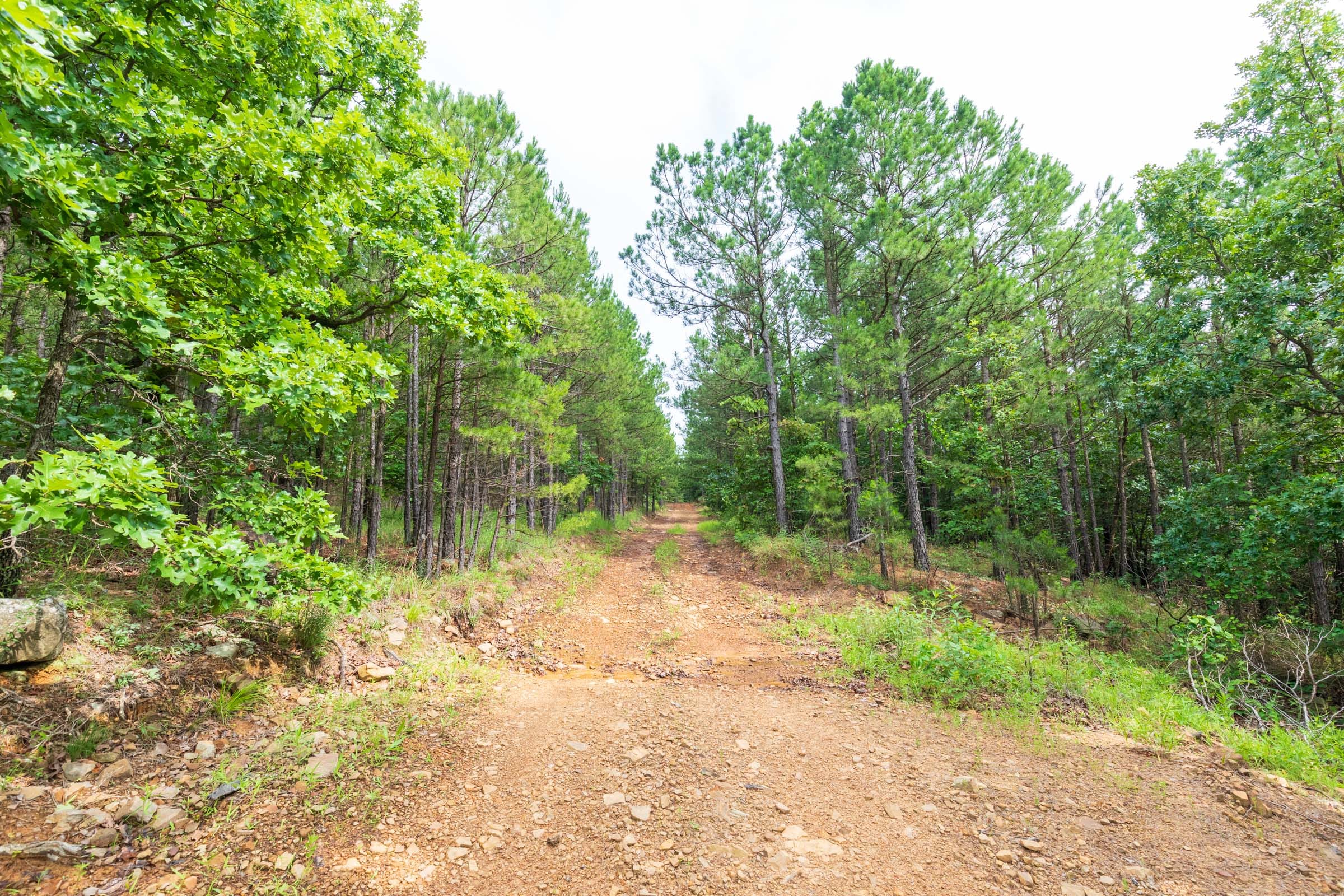 Stone Bridge Phase VI Tract 436 photo 1
