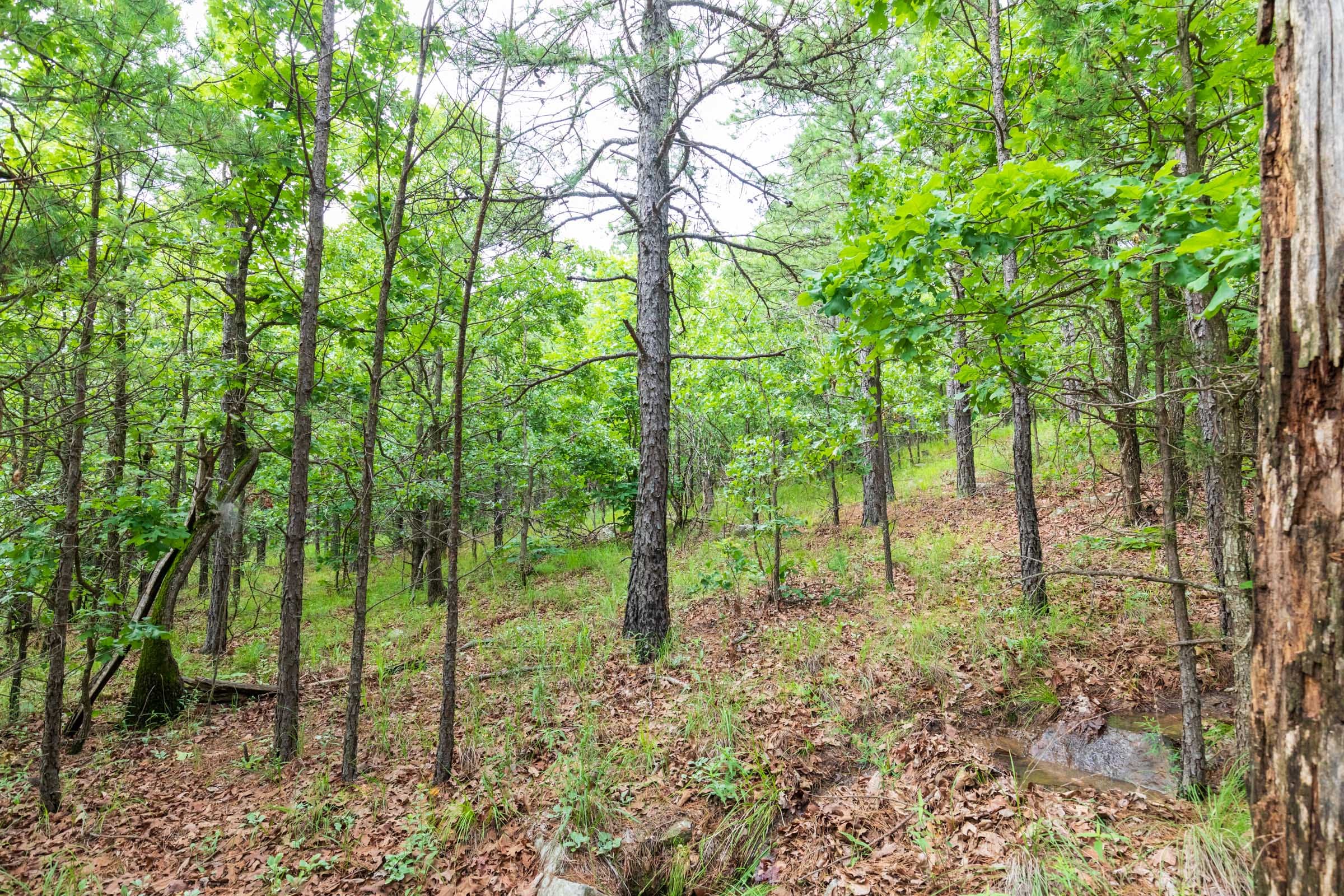 Stone Bridge Phase VI Tract 436 photo 7