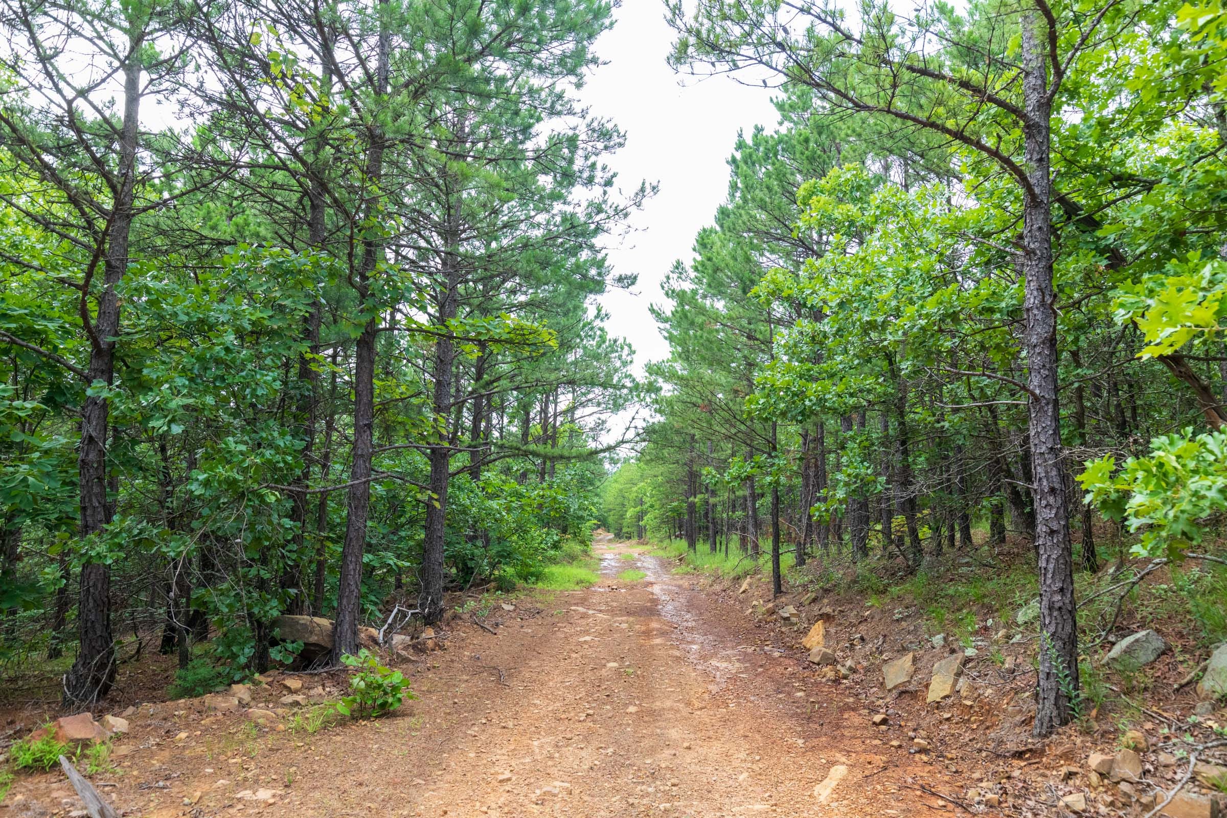 Stone Bridge Phase VI Tract 436 photo 6