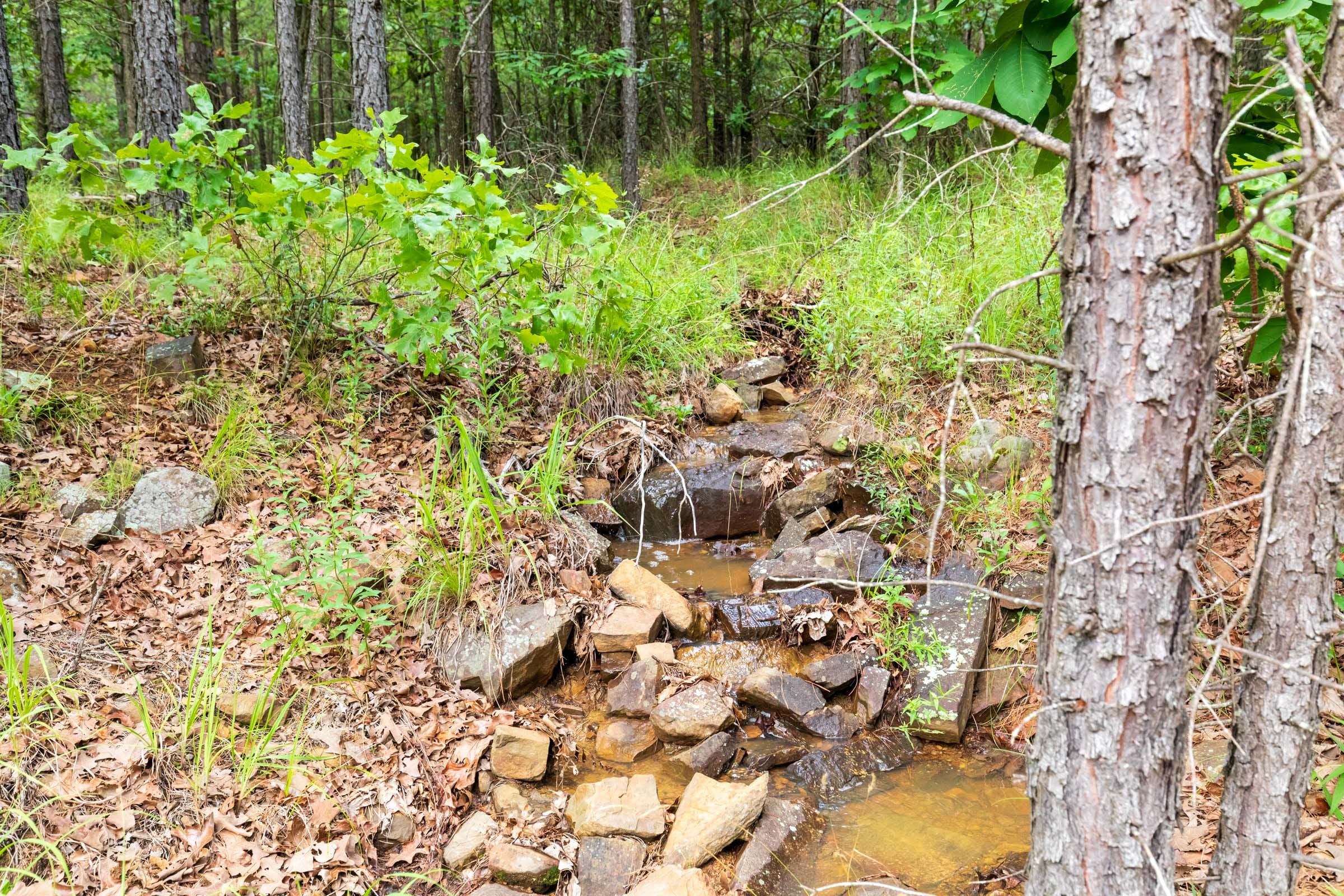 Stone Bridge Phase VI Tract 436 photo 2
