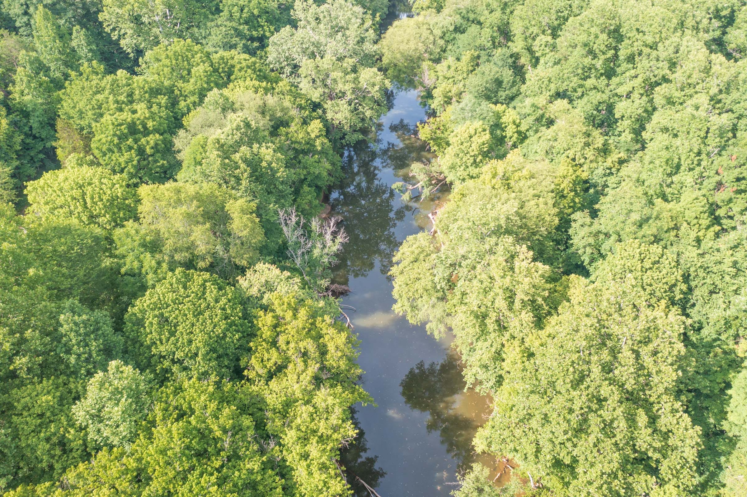 River’s Edge Tract 6 photo 2