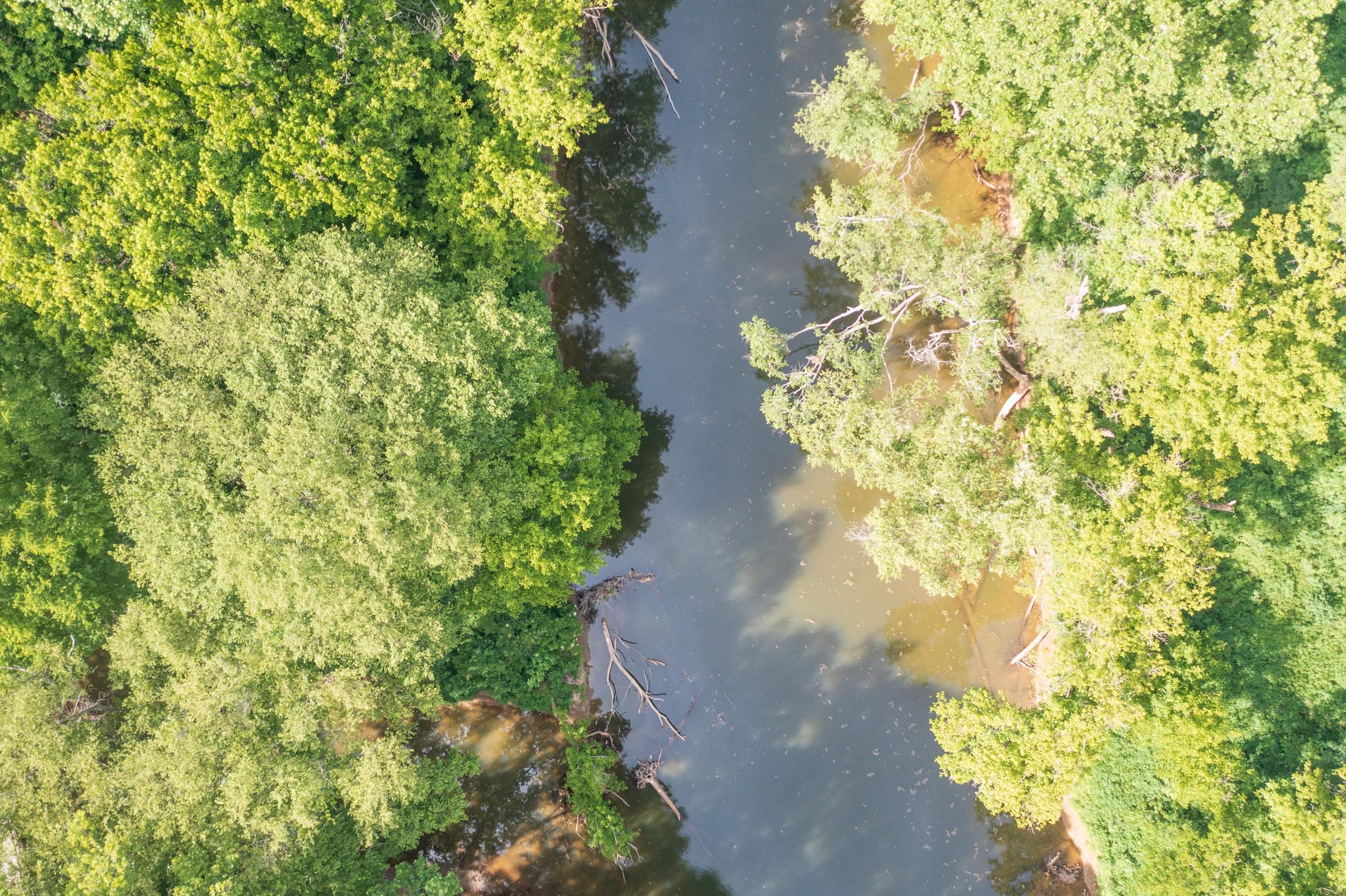 River’s Edge Tract 6 photo 3