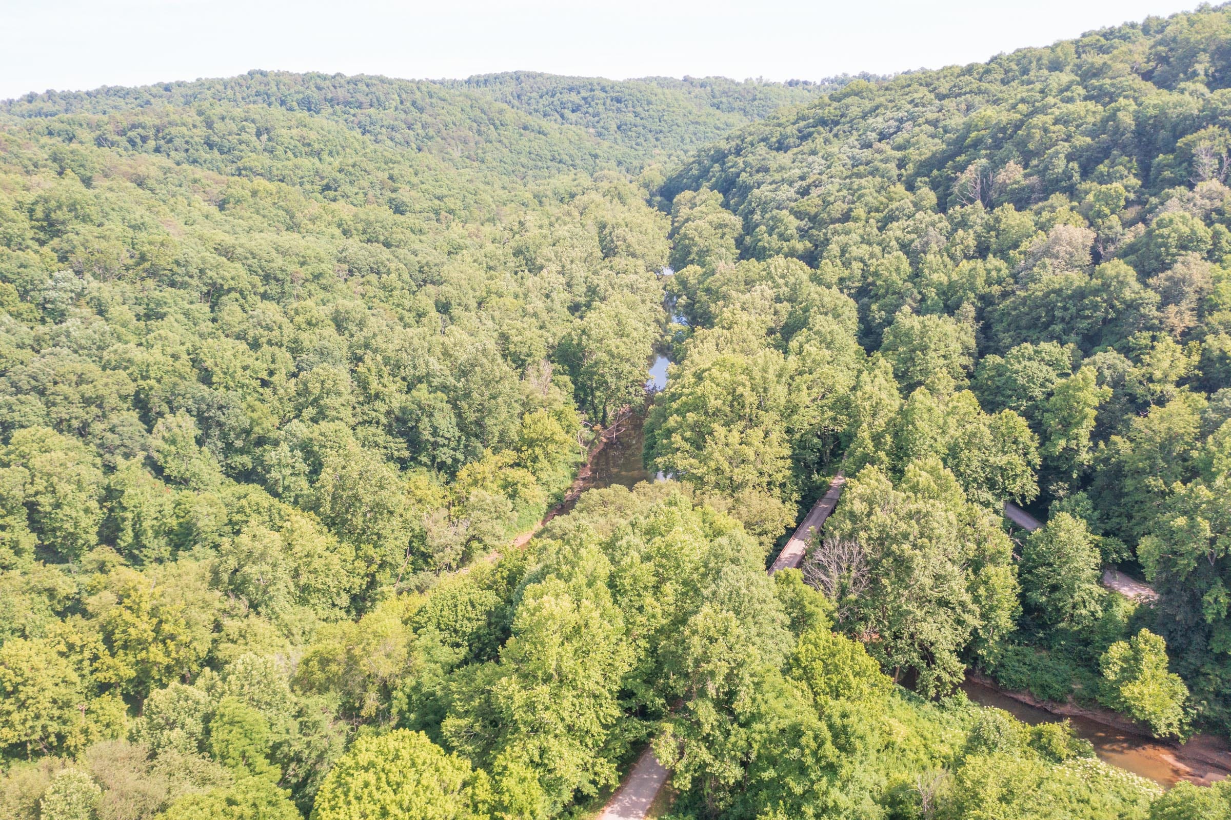 River’s Edge Tract 6 photo 6