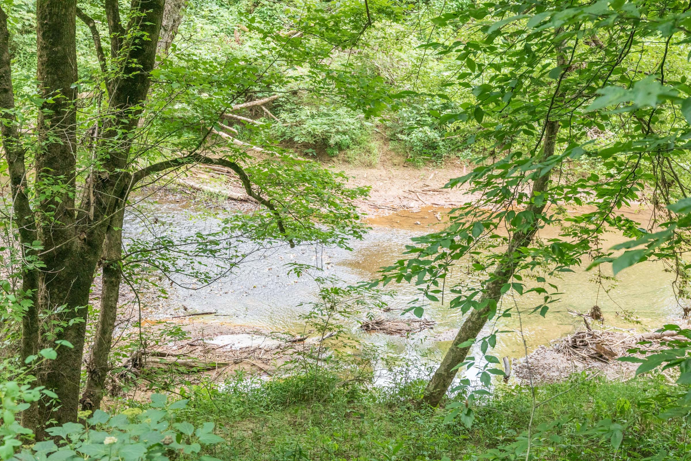 River’s Edge Tract 6 photo 7