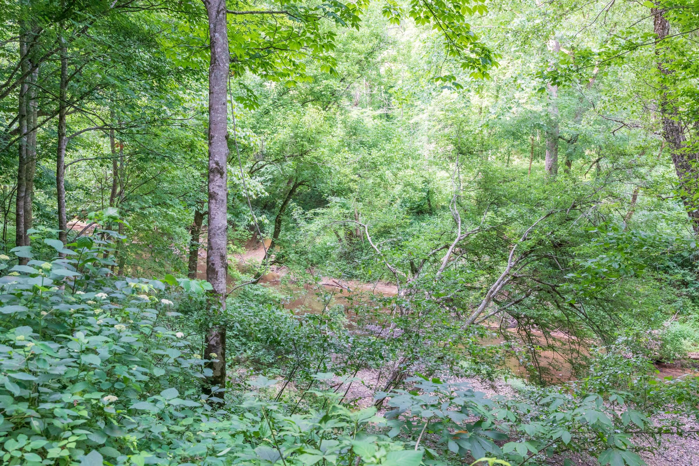 River’s Edge Tract 6 photo 9