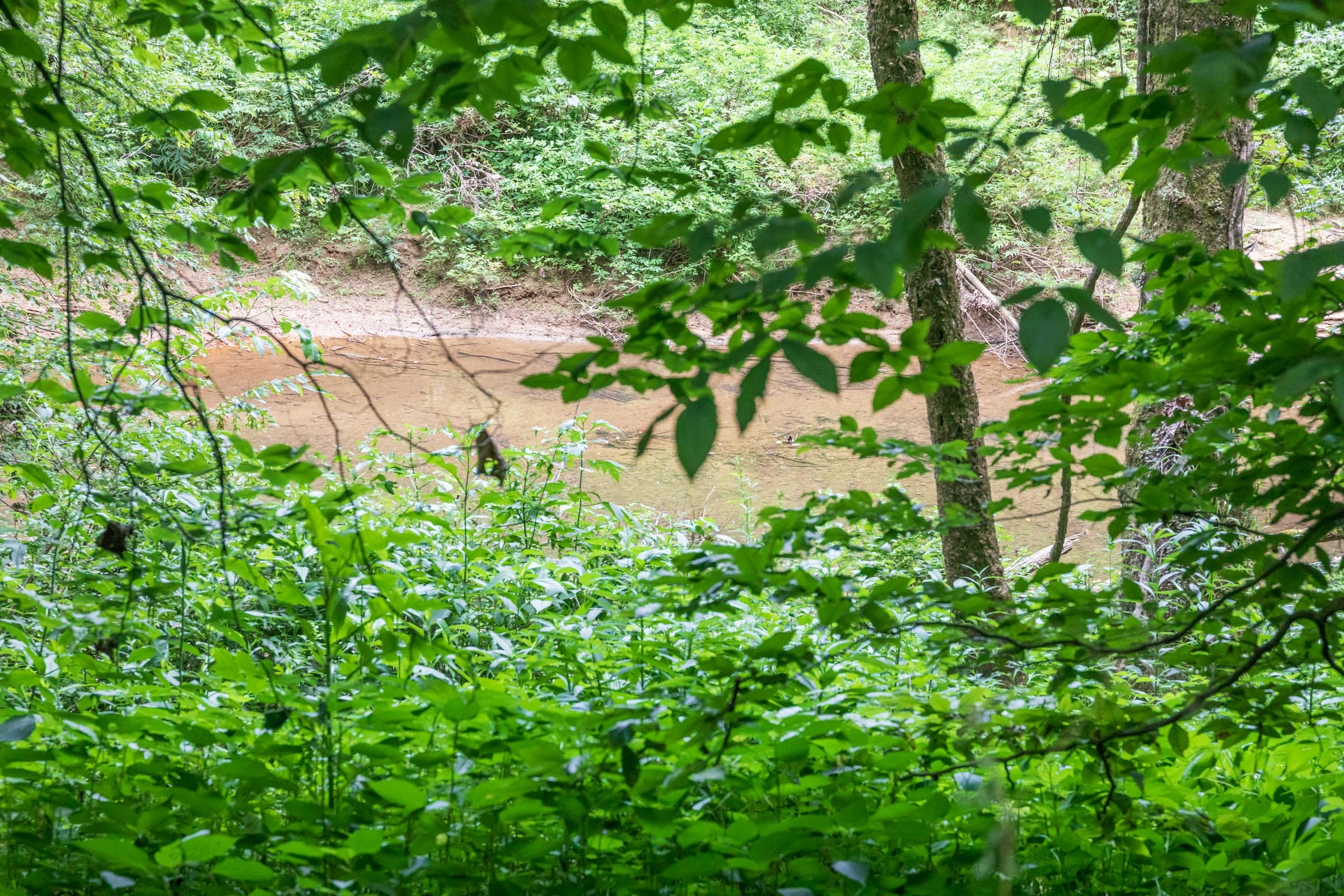 River’s Edge Tract 6 photo 10