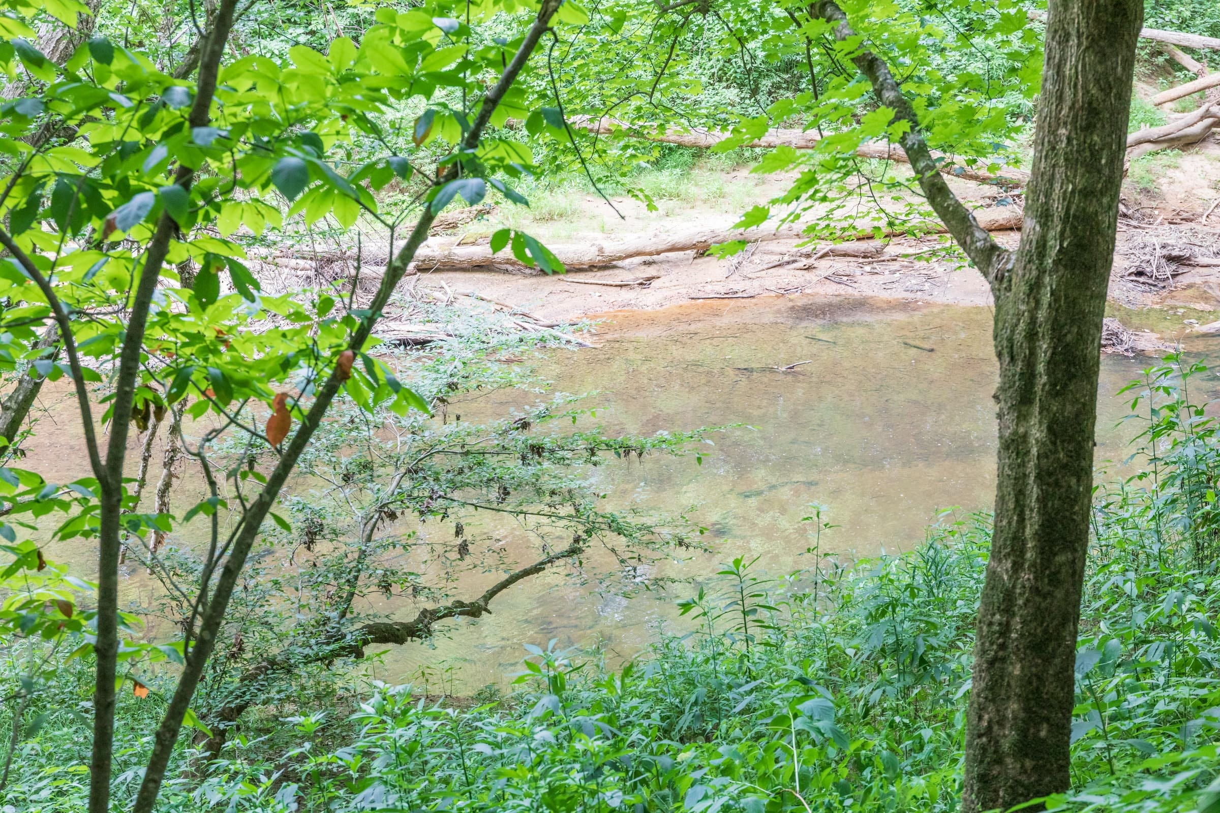 River’s Edge Tract 6 photo 11
