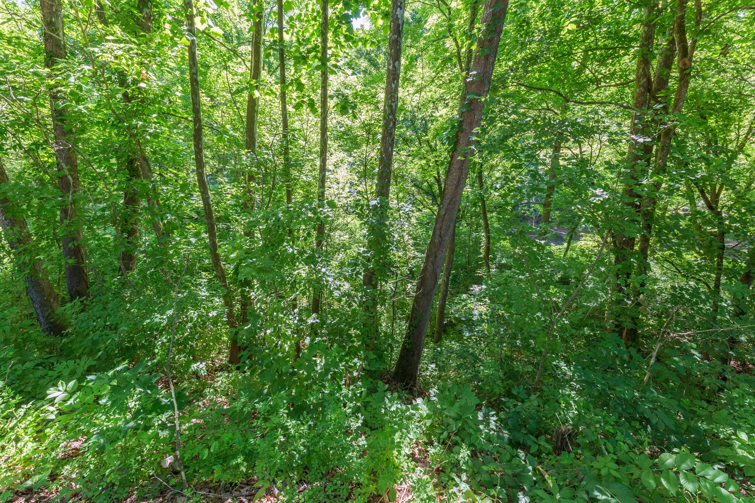River’s Edge Tract 6 photo 14