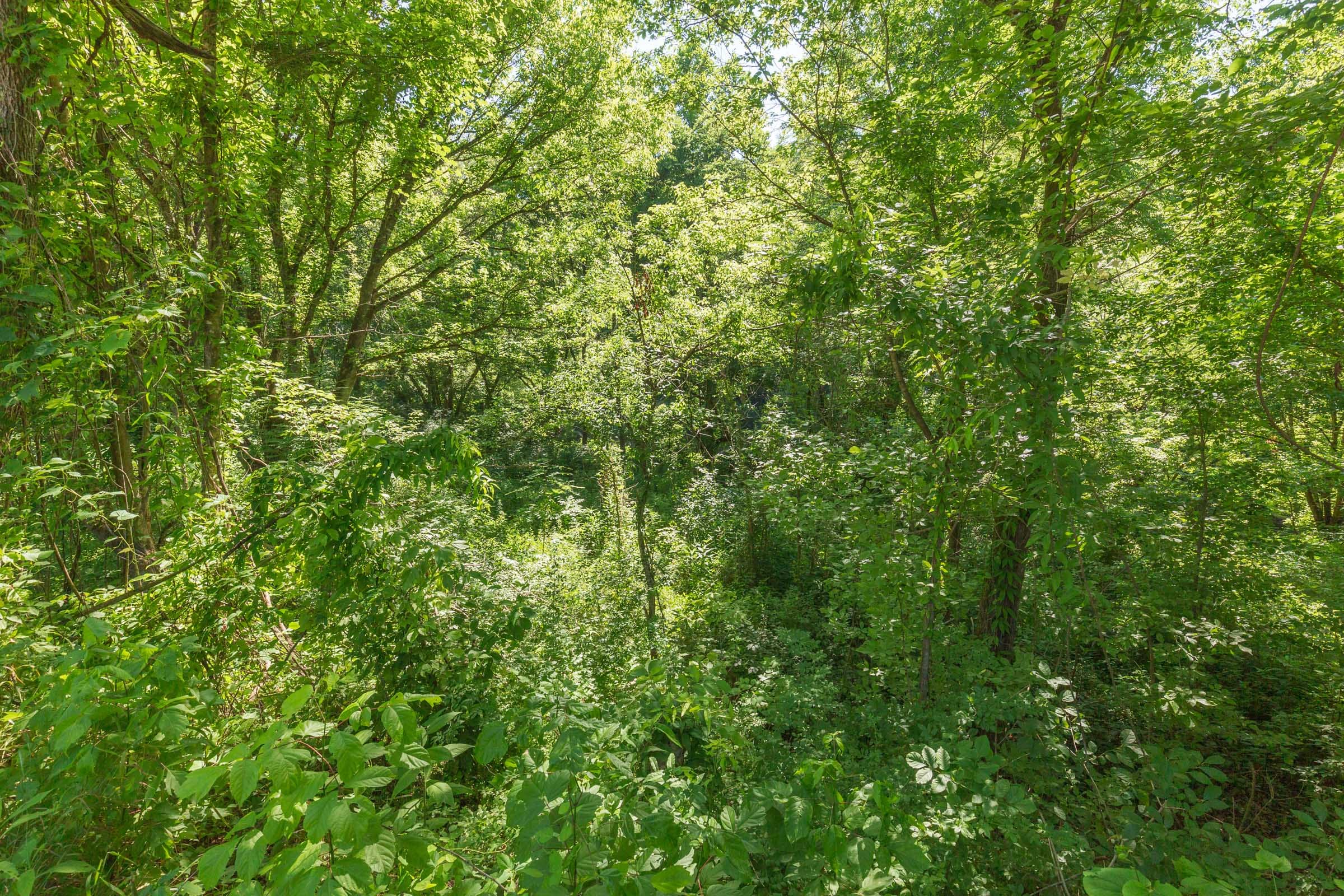 River’s Edge Tract 6 photo 15