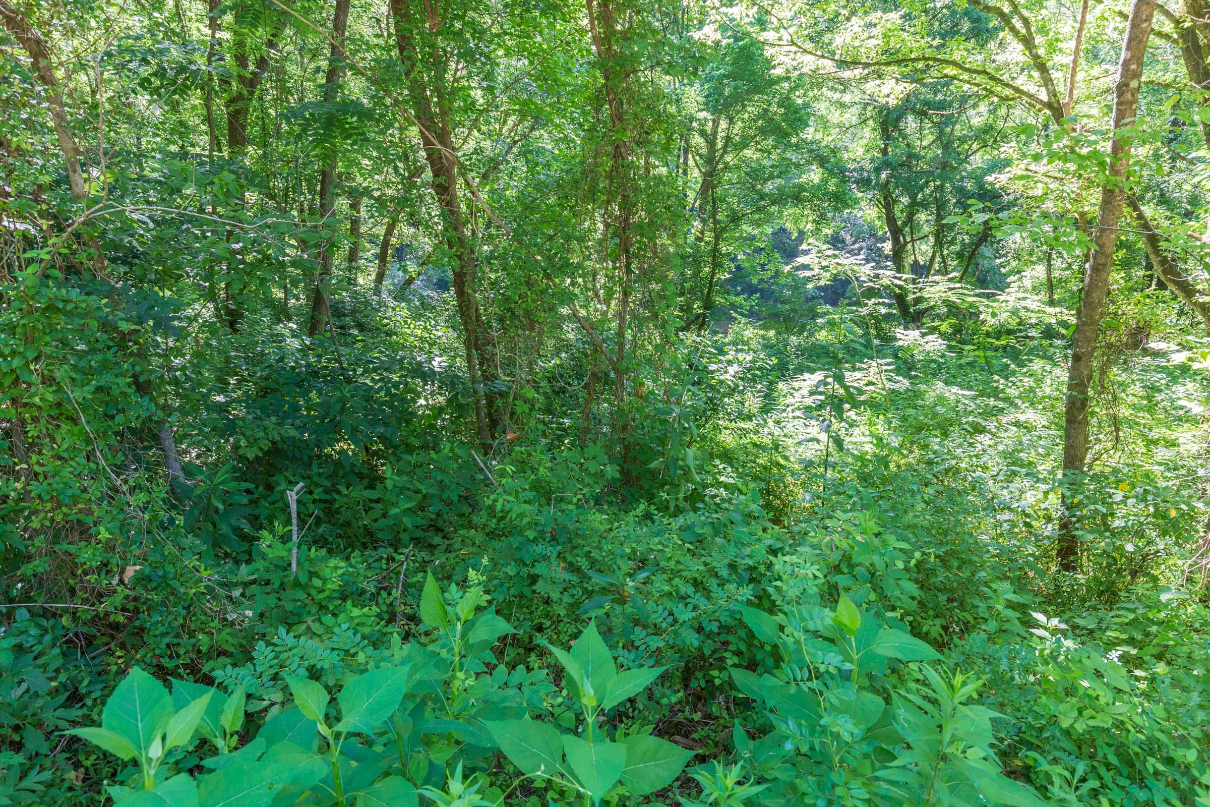River’s Edge Tract 6 photo 18