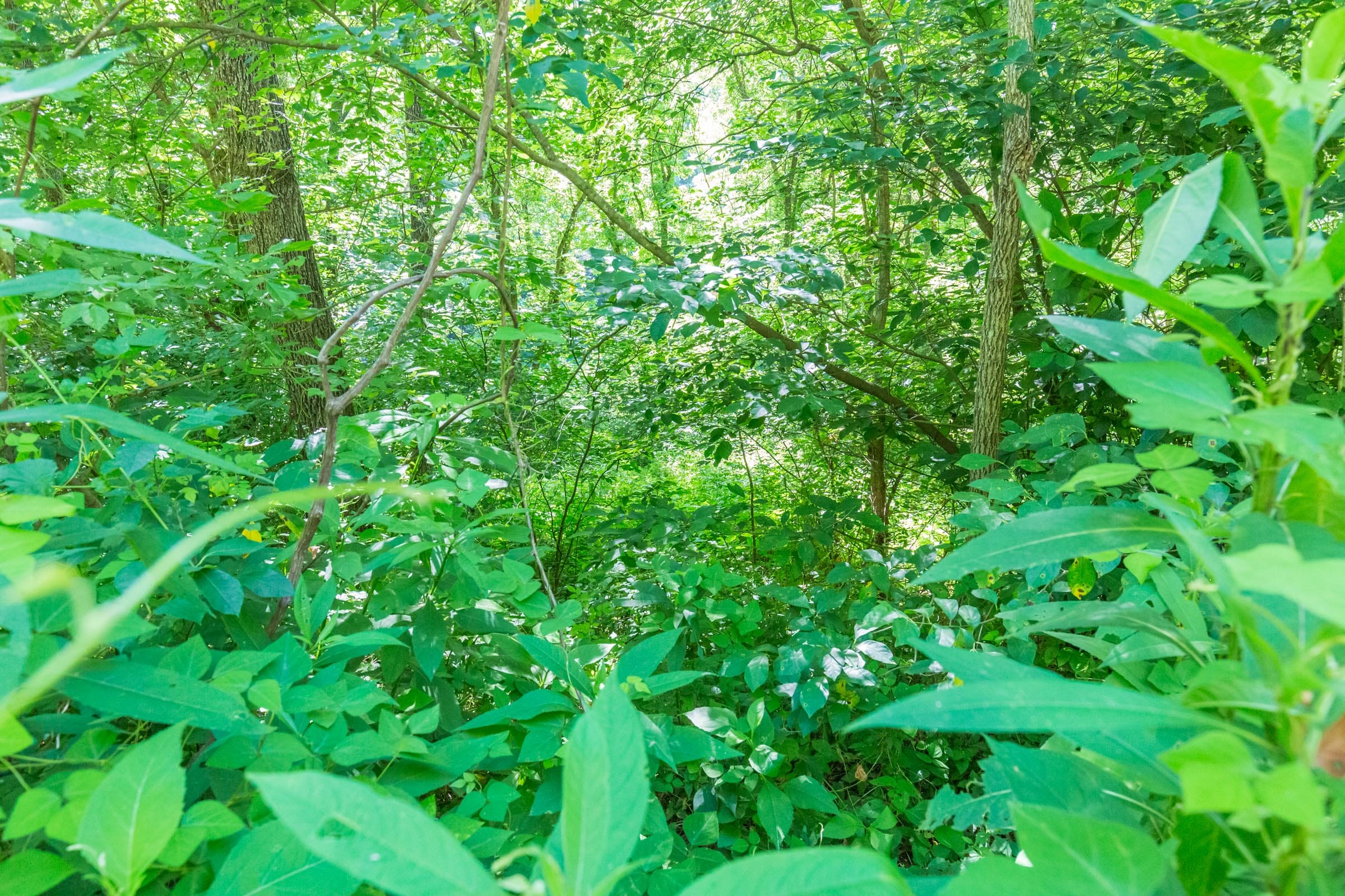 River’s Edge Tract 6 photo 20