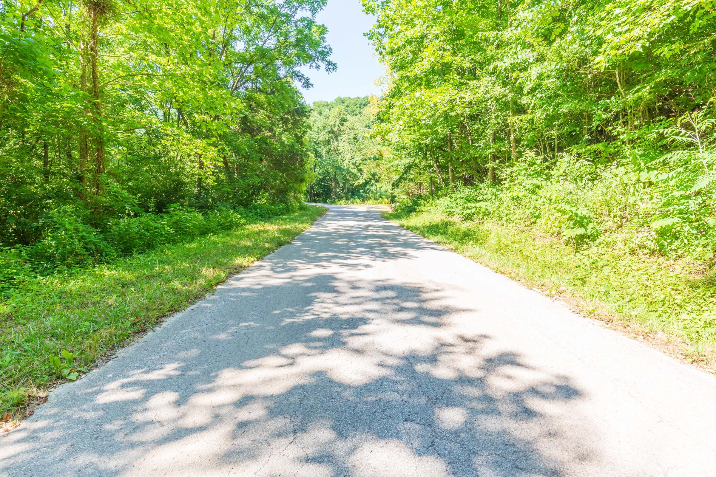 River’s Edge Tract 6 photo 8