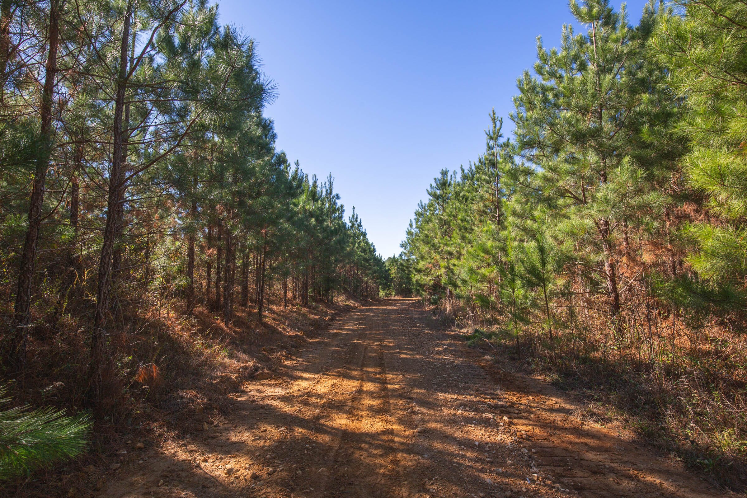 Pine Ridge Tract 12 photo 1
